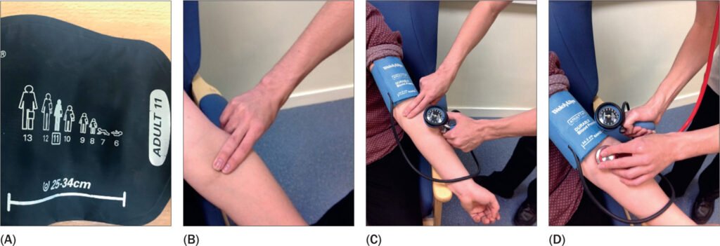 bjon 2022 31 7 356 f05